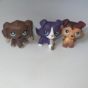 Lps Border Collies for sale